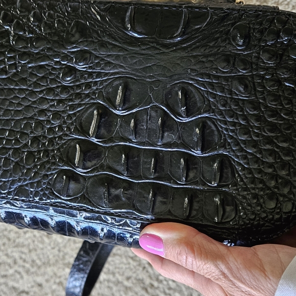 Brahmin - Picture 4 of 7